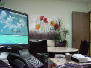 DSC01287.JPG